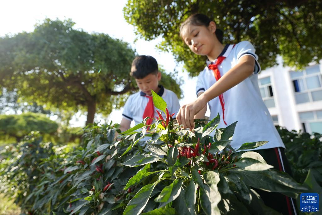 集结电子游戏